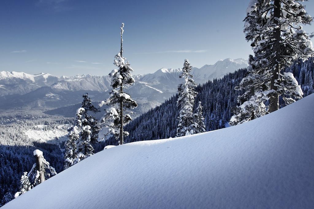 Laax Rancho Studio Apartment 客房 照片